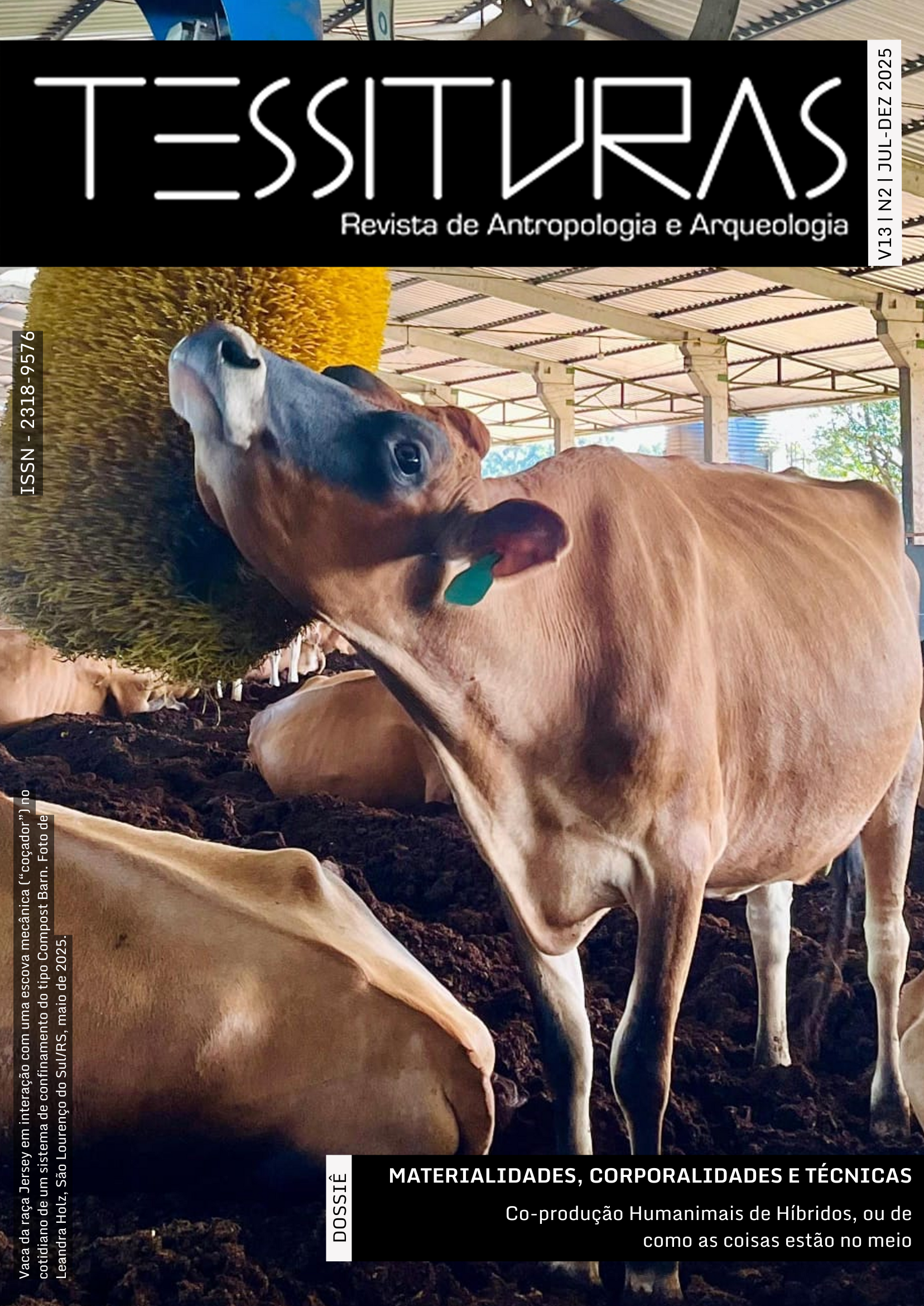 Capa do Volume 13, número 2 de Tessituras: Revista de Antropologia e Arqueologia. Em primeiro plano uma vaca se coça numa máquina de coçar. Fotografia de Leandra Holz, São Lourenço do Sul-RS, 2025.